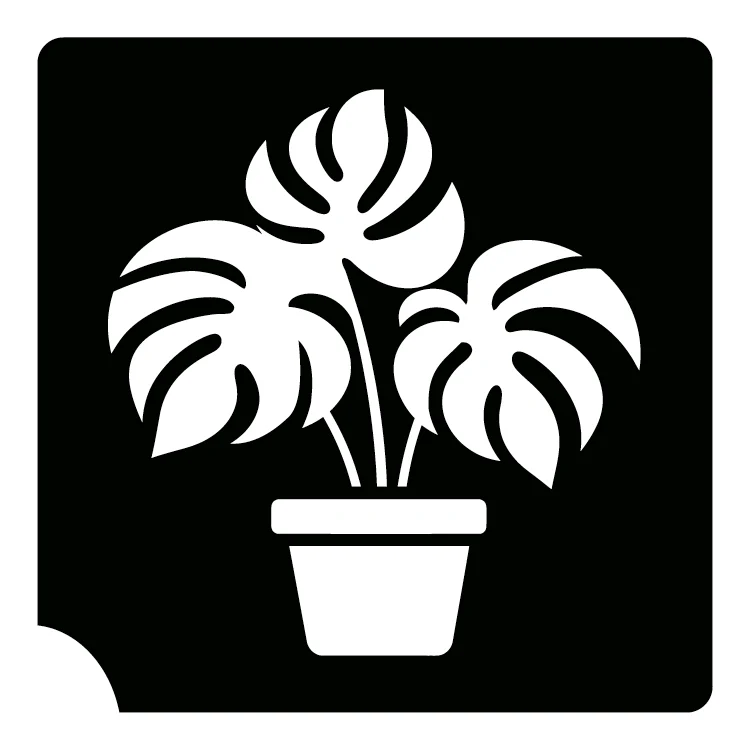 300 Monstera - Set of 5