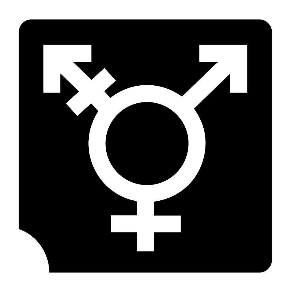 694 Transgender Symbol - Set of 5 - Art Factory Glitter Tattoo Stencil